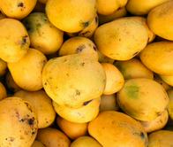 ¿Qué tan saludables son los mangos?