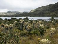 Bogotá sigue su apuesta de protección del agua junto a propietarios y comunidades rurales de la región 