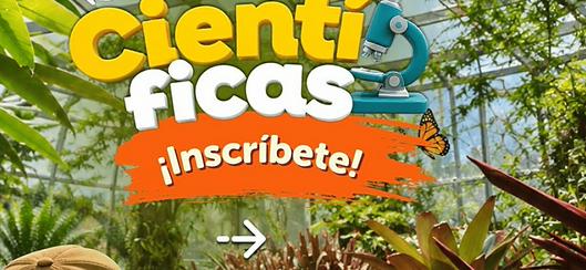 tarjeta noticia