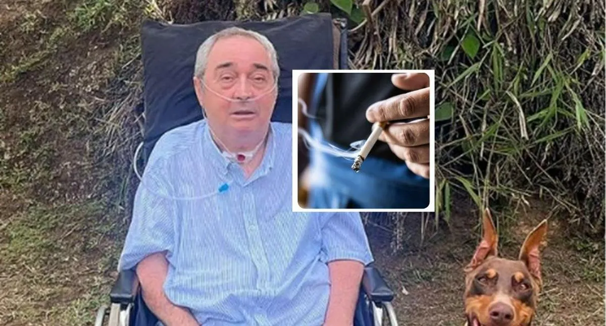 Imagen representativa del artículo