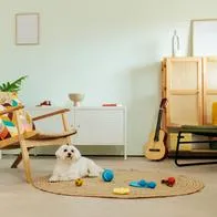 White dog lying on a woven rug surrounded by colorful dog toys in a bright living room interior. The relaxed home setting captures a calm everyday moment of pet life and playtime in a modern domestic environment.