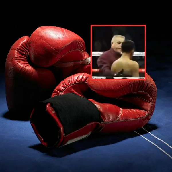 Guantes de boxeo