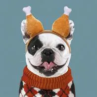 French bulldog wearing Thanksgiving turkey leg headband and turtleneck sweater