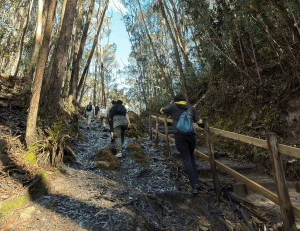 El viernes 2 de octubre no operarán los Caminos de los Cerros Orientales en Bogotá  
