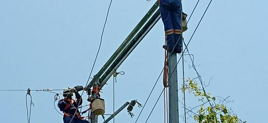 tarjeta noticia