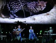 JACANA JACANA llega al Teatro El Ensueño con el sonido de la naturaleza de Colombia 