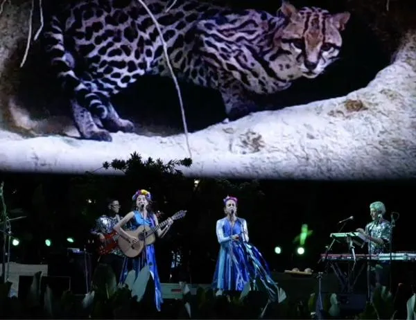 JACANA JACANA llega al Teatro El Ensueño con el sonido de la naturaleza de Colombia 