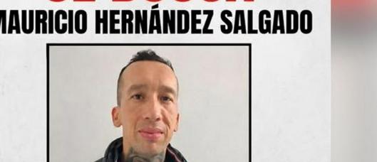 tarjeta noticia
