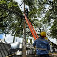 Emcali despliega cuadrillas de energía para apoyar demoliciones tras el terremoto en Cali