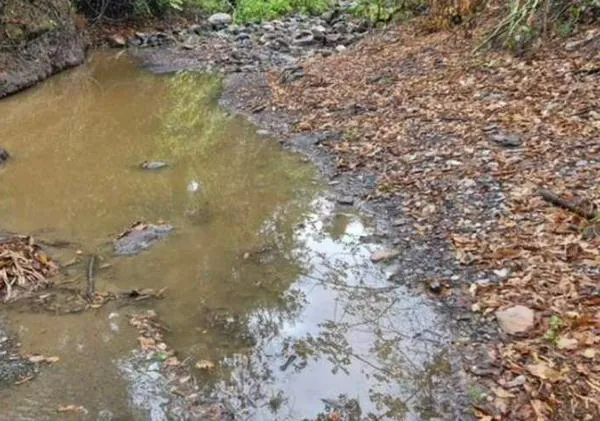 Sequía en el Tequendama: CAR podría suspender concesiones de agua en 35 municipios