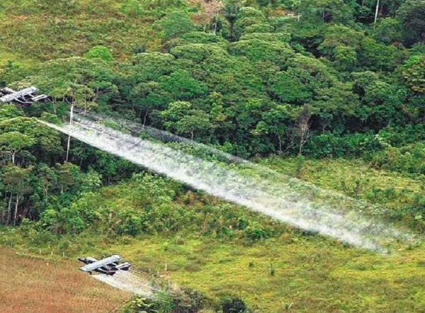 Gobierno defiende fumigaciones de cultivos de coca mientras sigue suspendido su plan piloto