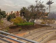 Un nuevo jardín floreció en los alrededores de Salitre Plaza y Maloka tras intervención del Jardín Botánico de Bogotá 