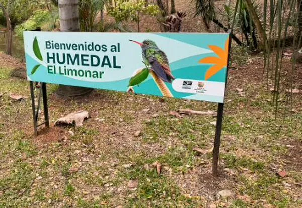 Humedal del sur de Cali recibió apoyo de la CVC para recuperar su nivel de agua