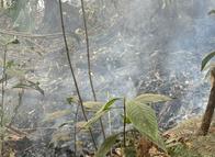 No se ve, pero arde: investigan incendio subterráneo en el Tolima