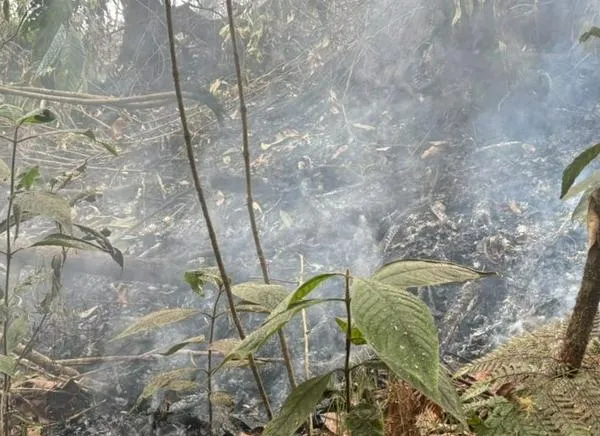 No se ve, pero arde: investigan incendio subterráneo en el Tolima