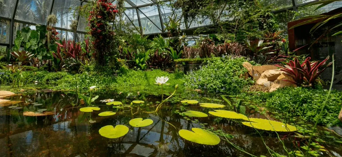 Planes en Bogotá: conoce la agenda cultural y académica del Jardín Botánico para octubre de 2026