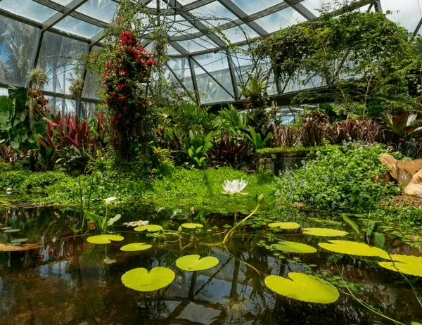 Planes en Bogotá: conoce la agenda cultural y académica del Jardín Botánico para octubre de 2026 