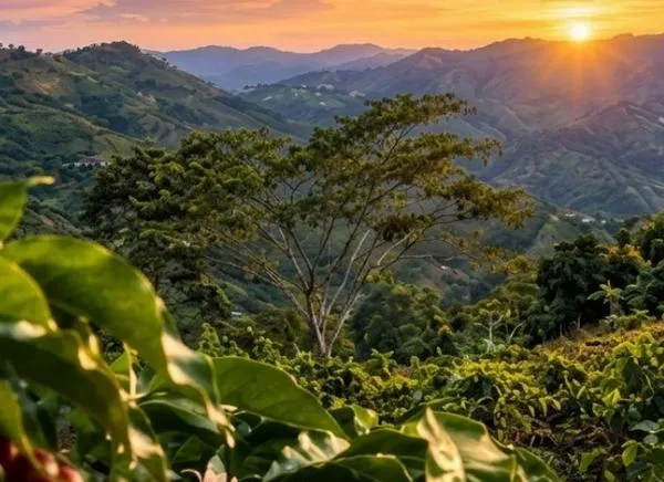 El norte del Tolima prepara una gran cita nacional: conozca de qué se trata