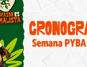 imagen nota inferior
