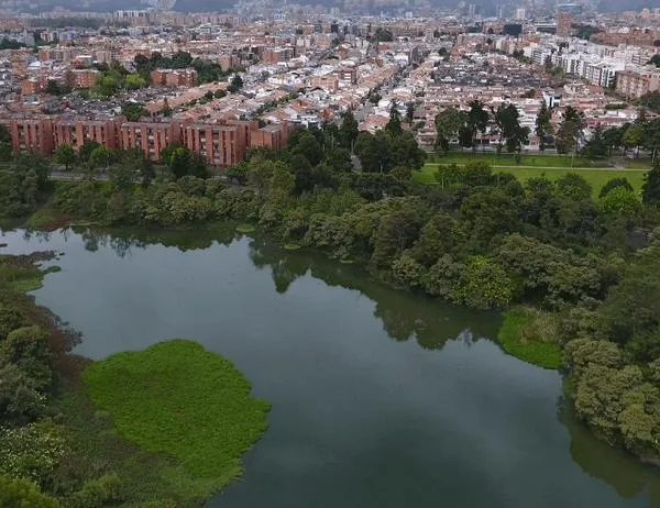 Receso escolar: estos son los planes para niñas y niños en los humedales de Bogotá 