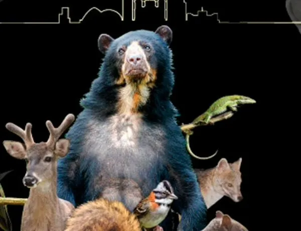 ¿Quieres conocer la fauna que habita Bogotá? Conéctate con Vecinos inesperados por Eureka de Canal Capital 