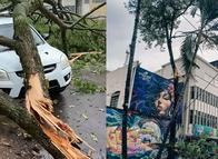 La lluvia golpeó fuerte: varios vehículos afectados por el aguacero