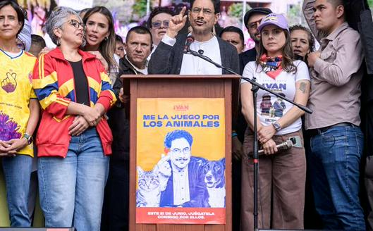 tarjeta noticia