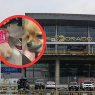 Sanciones que enfrentarían dueños de perros abandonados en aeropuerto El Dorado