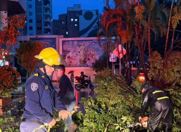 Lo que el agua se llevó: estos fueron los daños tras fuertes lluvias en Ibagué