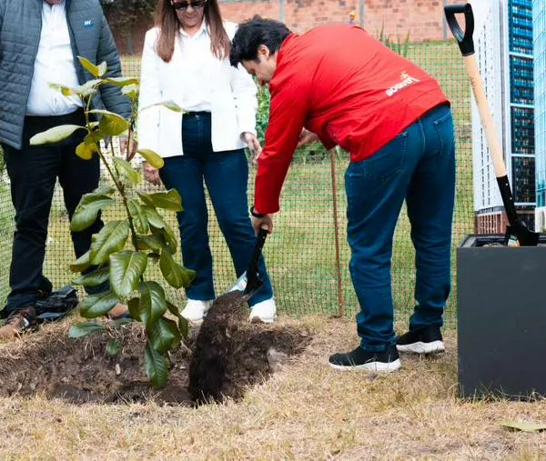 Bogotá habilitaría suelo para construir hasta 15.000 viviendas: así funcionará el proyecto