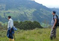 Entre bosques y potreros, Manta intenta conservar el paso del oso andino por sus montañas