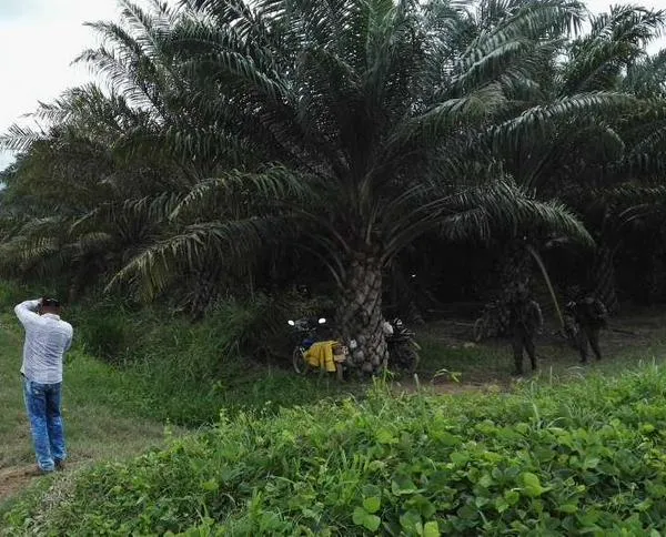 Ordenan la captura de dueño de la hacienda Bellacruz por el desplazamiento de 70 familias