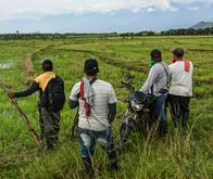Reforma Rural Integral enfrenta recorte presupuestal y 10 años después aún está rezagada
