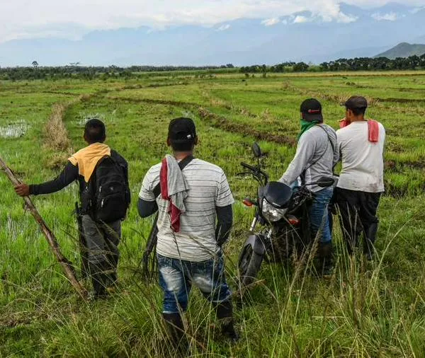 Reforma Rural Integral enfrenta recorte presupuestal y 10 años después aún está rezagada