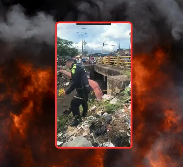 Quién es la joven de 19 años que quemaron bajo un puente de Cali: identificaron