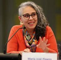 El Consejo de Estado recibió una solicitud de pérdida de investidura contra la exsenadora María José Pizarro por presunto tráfico de influencias. 