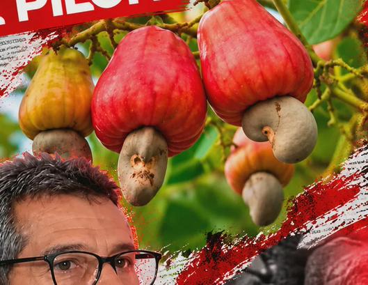 tarjeta noticia
