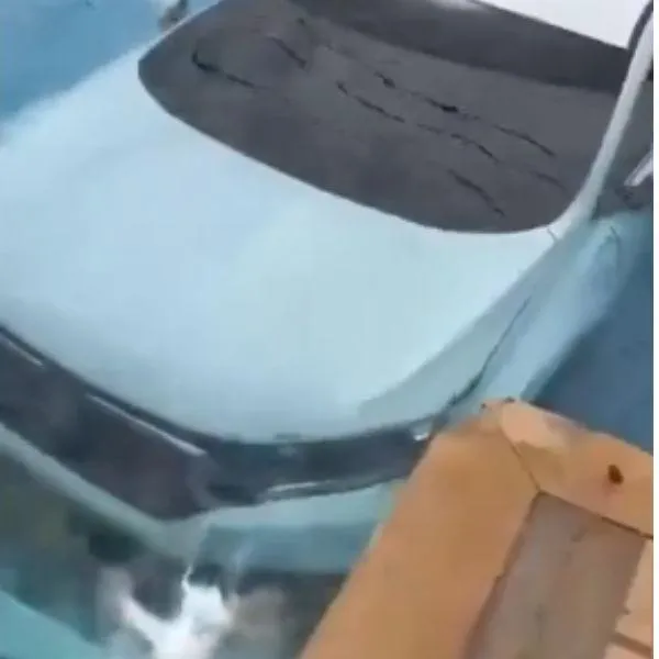 Video: mujer terminó metida en piscina con su carro: habría confundido pedales