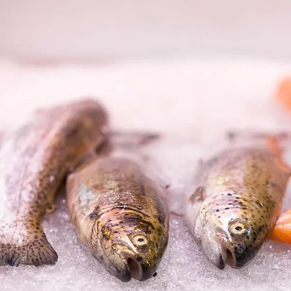 Alarma en Santander por larvas en ojos de peces y respuesta de expertos al tema