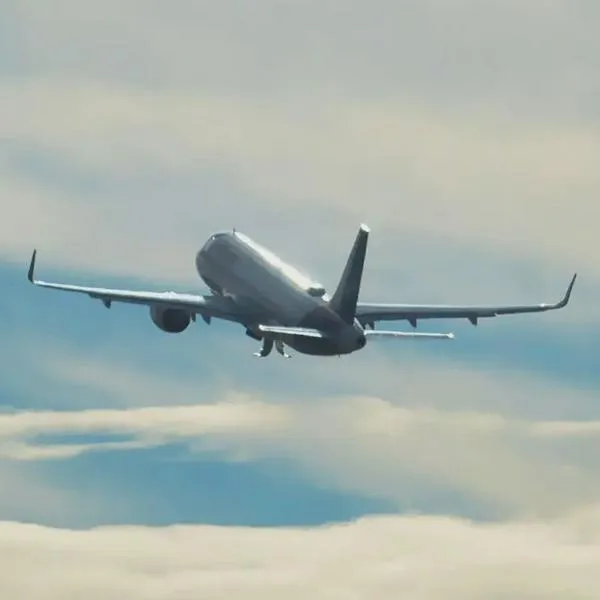 ¿Quiénes eran los pasajeros del avión que desapareció tras salir de Bermudas rumbo a EE. UU.?