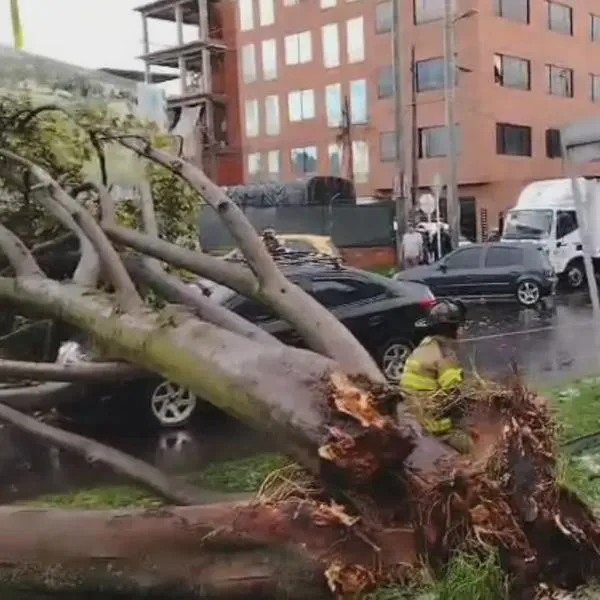 Imagen del árbol que cayó sobre un carro en Engativá, Bogotá