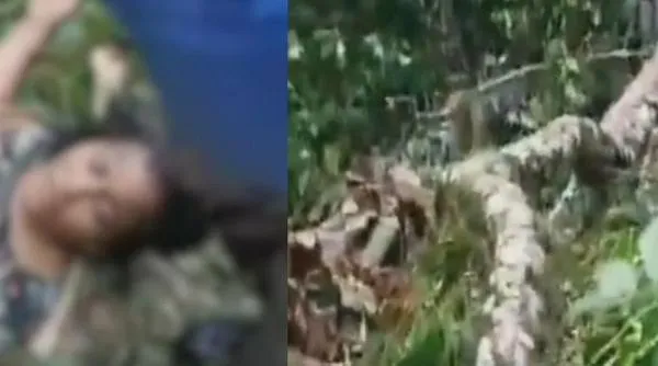 Tragedia en Manaure: un árbol cayó sobre una familia y dejó dos muertos