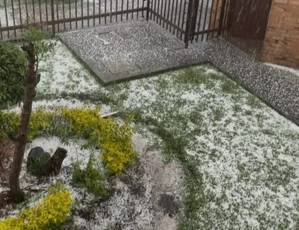 ¿Qué hacer en caso de granizada en Bogotá? Sigue estas recomendaciones para evitar contratiempos 