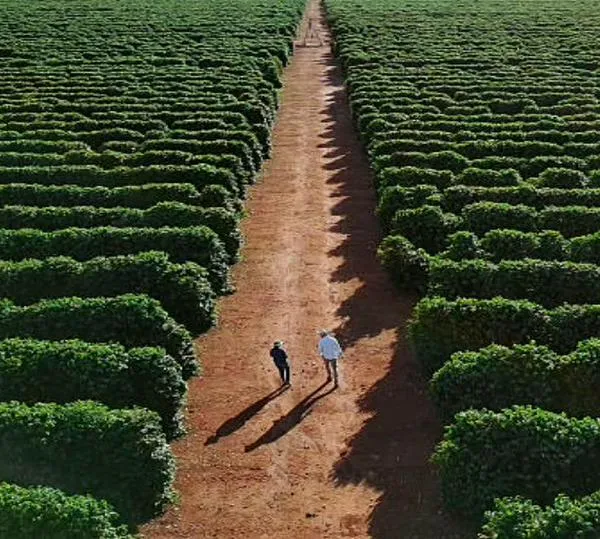 Precios al productor en Colombia subieron 2,2% en septiembre, impulsados por minería y productos agrícolas