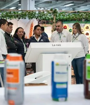 Imagen representativa del artículo