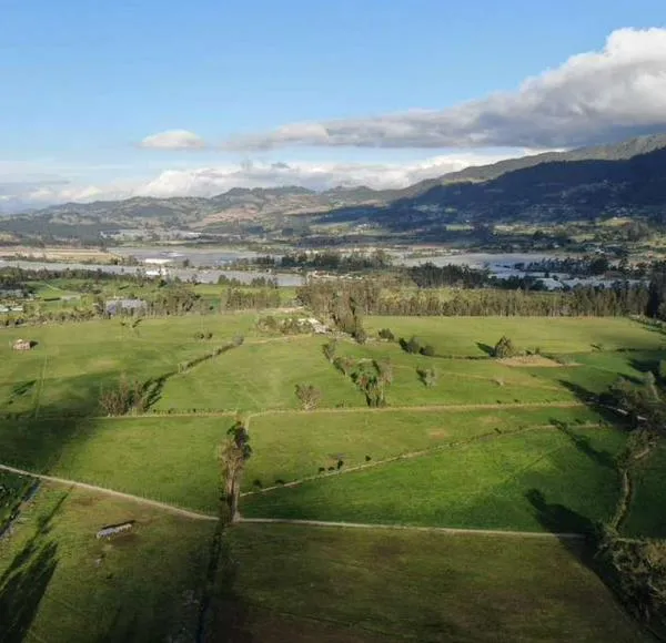 Derogan las áreas de agricultura en la Sabana ¿qué pasará con los suelos?