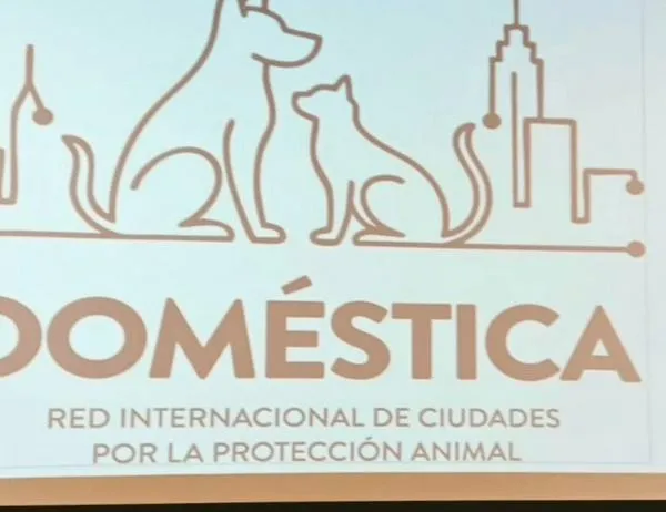 Bogotá lanza Objetivos de Desarrollo para Protección y Bienestar Animal ante representantes de la Red DOMÉSTICA 