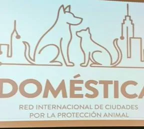 imagen nota
