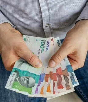 Imagen representativa del artículo