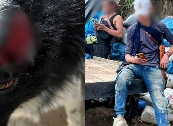 Video registró aberrante caso de maltrato animal en el Tolima